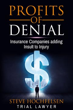 Profits of Denial by Steve Hochfelsen