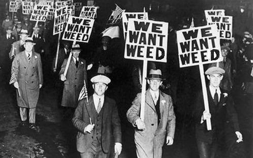 The History of Cannabis Prohibition